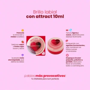 Brillo labial pequeño para bolso mujer Colombia